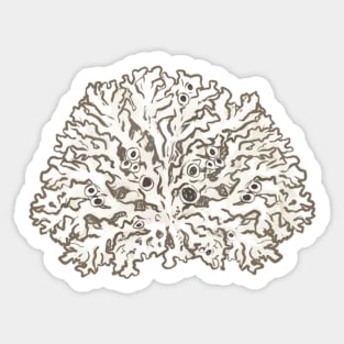 Lichen 4 Sticker